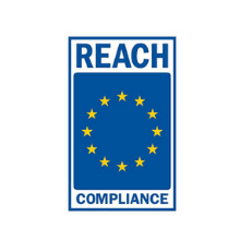 reach europe logo